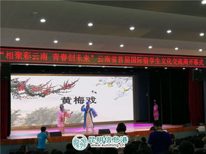 彩云之南搭橋梁 青春友誼譜新章——云南省首屆國(guó)際留學(xué)生文化交流周開幕